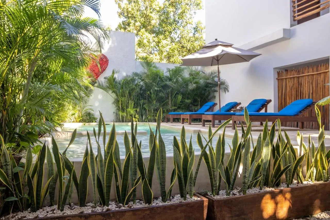 Kaab Boho Hotel Tulum